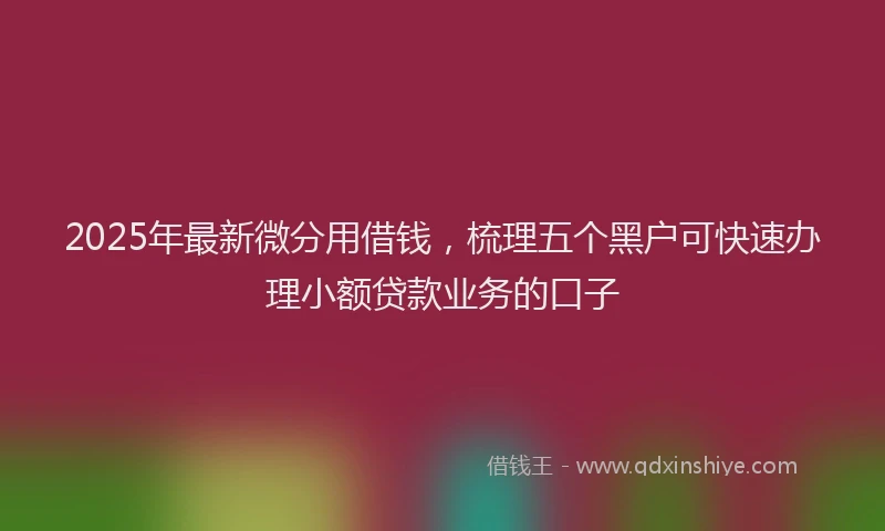 2025年最新微分用借钱，梳理五个黑户可快速办理小额贷款业务的口子