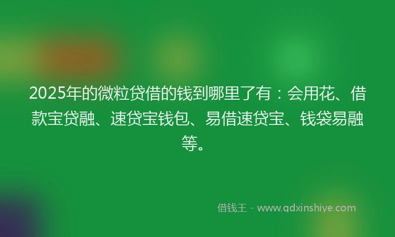 2025年的微粒贷借的钱到哪里了有：会用花、借款宝贷融、速贷宝钱包、易借速贷宝、钱袋易融等。