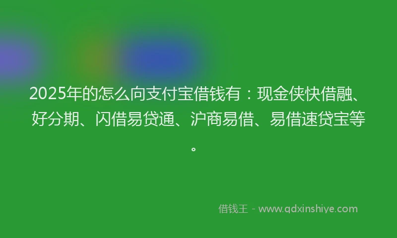 2025年的怎么向支付宝借钱有：现金侠快借融、好分期、闪借易贷通、沪商易借、易借速贷宝等。