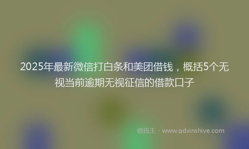 2025年最新微信打白条和美团借钱，概括5个无视当前逾期无视征信的借款口子