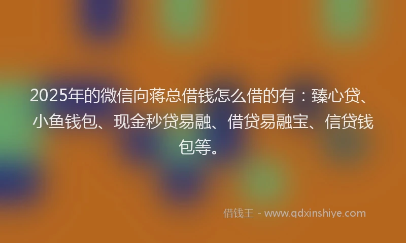 2025年的微信向蒋总借钱怎么借的有：臻心贷、小鱼钱包、现金秒贷易融、借贷易融宝、信贷钱包等。
