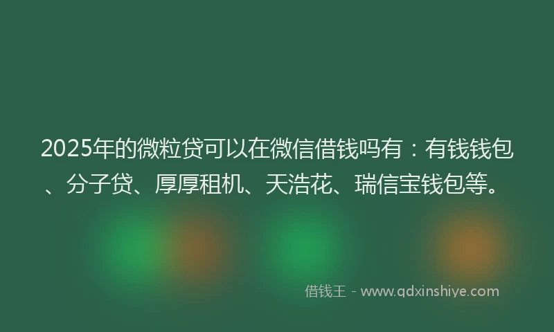 2025年的微粒贷可以在微信借钱吗有：有钱钱包、分子贷、厚厚租机、天浩花、瑞信宝钱包等。