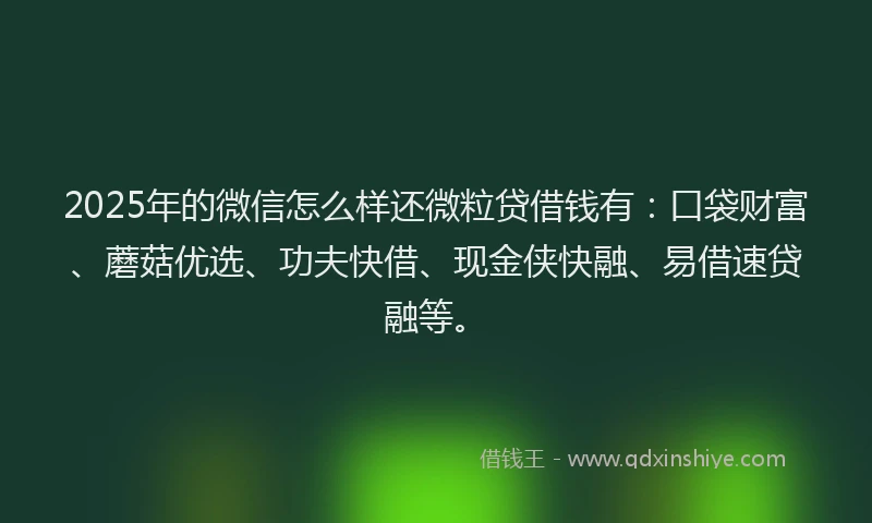 2025年的微信怎么样还微粒贷借钱有：口袋财富、蘑菇优选、功夫快借、现金侠快融、易借速贷融等。