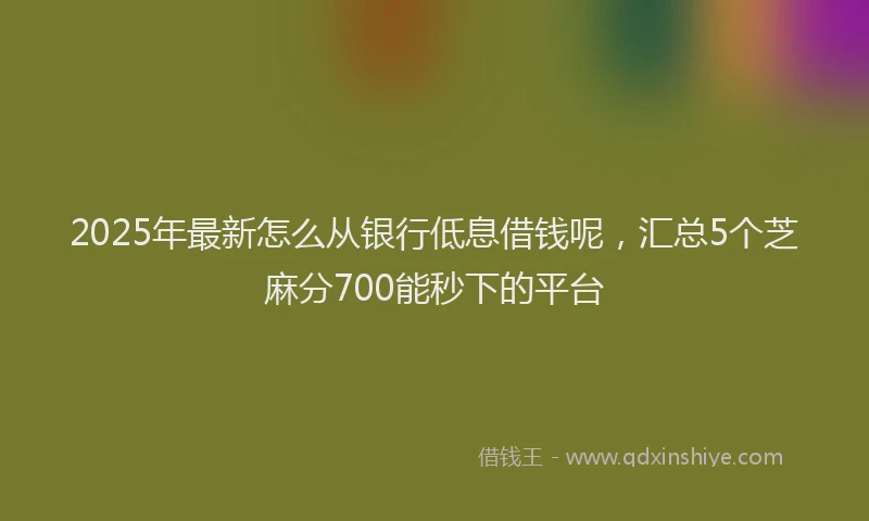 2025年最新怎么从银行低息借钱呢，汇总5个芝麻分700能秒下的平台