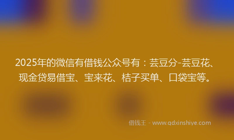 2025年的微信有借钱公众号有：芸豆分-芸豆花、现金贷易借宝、宝来花、桔子买单、口袋宝等。