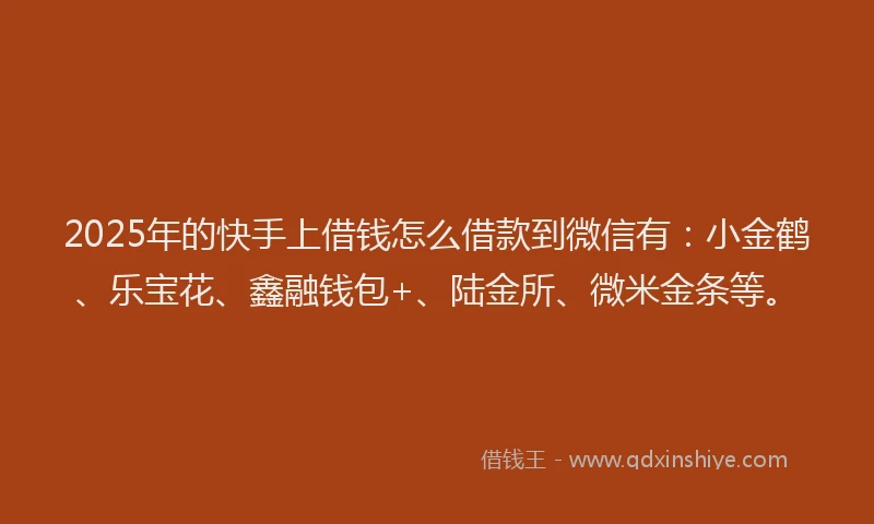 2025年的快手上借钱怎么借款到微信有：小金鹤、乐宝花、鑫融钱包+、陆金所、微米金条等。