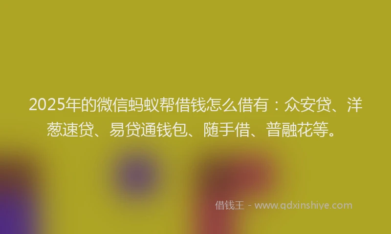 2025年的微信蚂蚁帮借钱怎么借有：众安贷、洋葱速贷、易贷通钱包、随手借、普融花等。