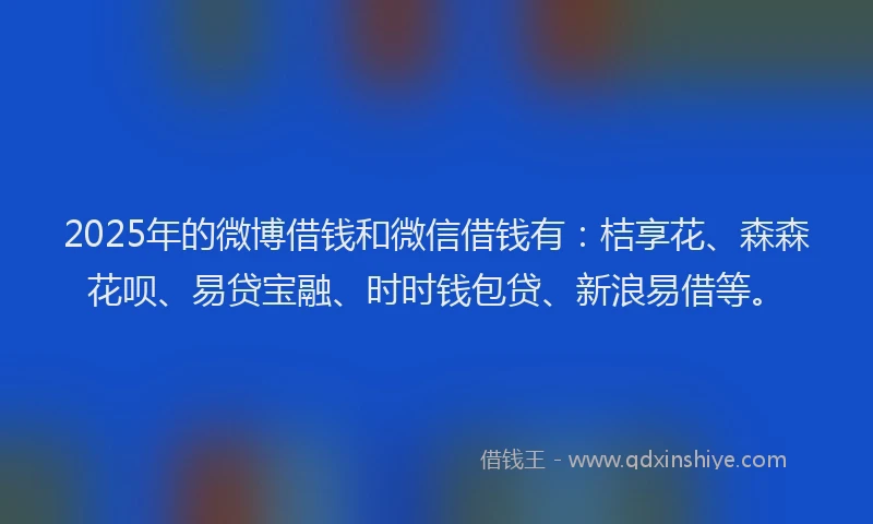 2025年的微博借钱和微信借钱有：桔享花、森森花呗、易贷宝融、时时钱包贷、新浪易借等。