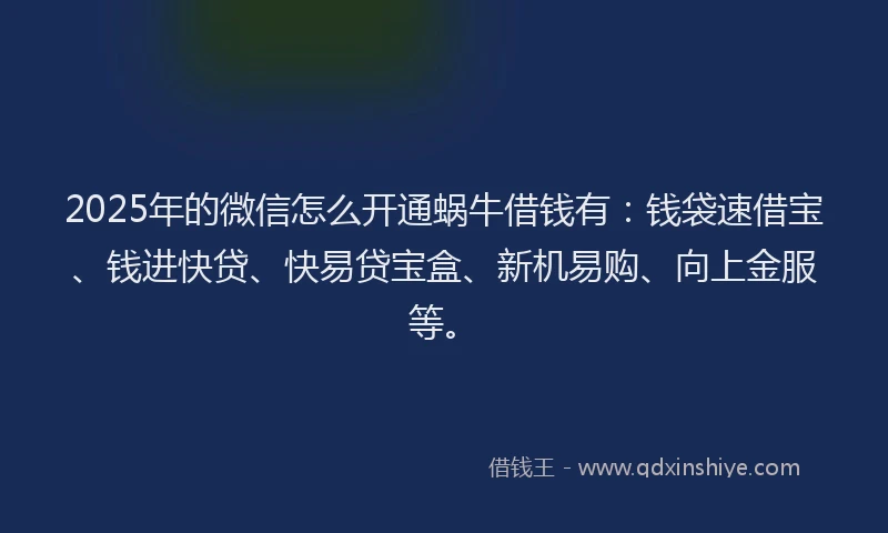 2025年的微信怎么开通蜗牛借钱有：钱袋速借宝、钱进快贷、快易贷宝盒、新机易购、向上金服等。