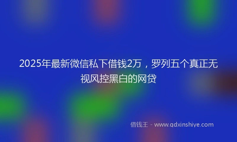 2025年最新微信私下借钱2万，罗列五个真正无视风控黑白的网贷