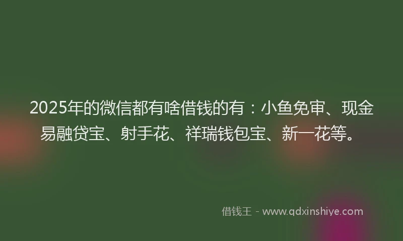 2025年的微信都有啥借钱的有：小鱼免审、现金易融贷宝、射手花、祥瑞钱包宝、新一花等。