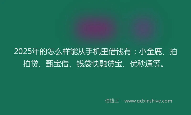 2025年的怎么样能从手机里借钱有：小金鹿、拍拍贷、甄宝借、钱袋快融贷宝、优秒通等。