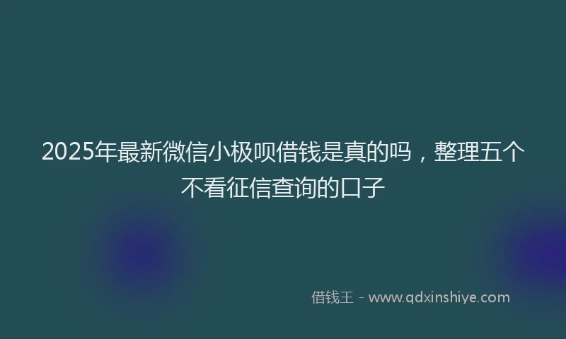 2025年最新微信小极呗借钱是真的吗，整理五个不看征信查询的口子