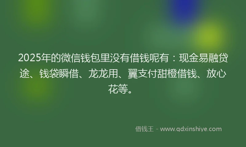 2025年的微信钱包里没有借钱呢有：现金易融贷途、钱袋瞬借、龙龙用、翼支付甜橙借钱、放心花等。