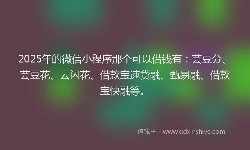 2025年的微信小程序那个可以借钱有：芸豆分、芸豆花、云闪花、借款宝速贷融、甄易融、借款宝快融等。