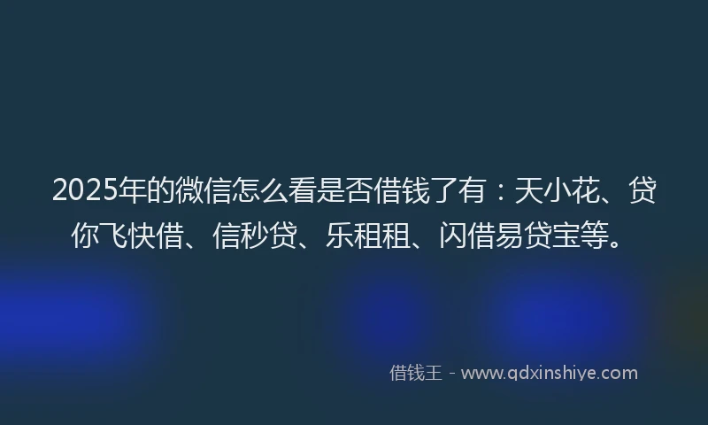 2025年的微信怎么看是否借钱了有：天小花、贷你飞快借、信秒贷、乐租租、闪借易贷宝等。