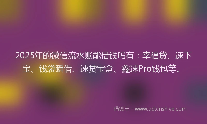 2025年的微信流水账能借钱吗有：幸福贷、速下宝、钱袋瞬借、速贷宝盒、鑫速Pro钱包等。