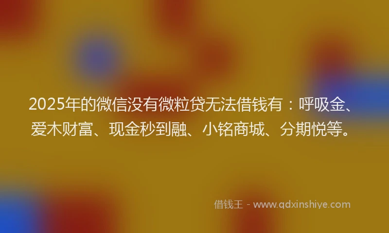 2025年的微信没有微粒贷无法借钱有：呼吸金、爱木财富、现金秒到融、小铭商城、分期悦等。