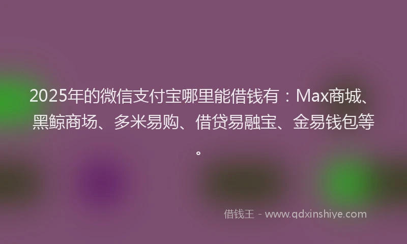 2025年的微信支付宝哪里能借钱有：Max商城、黑鲸商场、多米易购、借贷易融宝、金易钱包等。