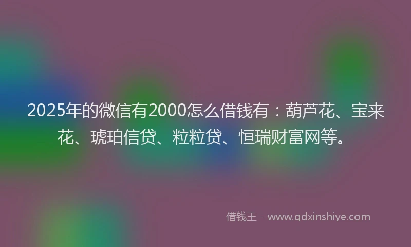 2025年的微信有2000怎么借钱有：葫芦花、宝来花、琥珀信贷、粒粒贷、恒瑞财富网等。