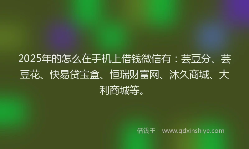 2025年的怎么在手机上借钱微信有：芸豆分、芸豆花、快易贷宝盒、恒瑞财富网、沐久商城、大利商城等。