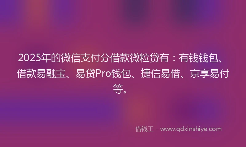 2025年的微信支付分借款微粒贷有：有钱钱包、借款易融宝、易贷Pro钱包、捷信易借、京享易付等。