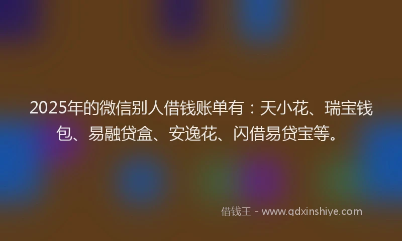 2025年的微信别人借钱账单有：天小花、瑞宝钱包、易融贷盒、安逸花、闪借易贷宝等。