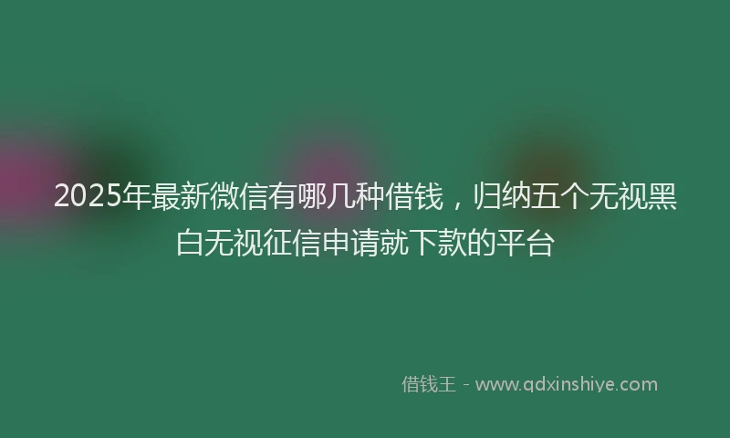 2025年最新微信有哪几种借钱，归纳五个无视黑白无视征信申请就下款的平台