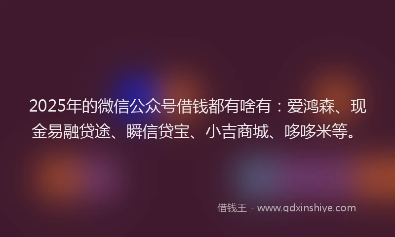 2025年的微信公众号借钱都有啥有：爱鸿森、现金易融贷途、瞬信贷宝、小吉商城、哆哆米等。