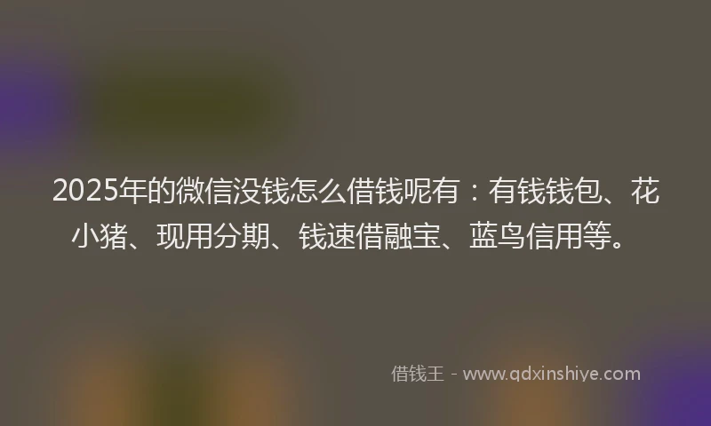 2025年的微信没钱怎么借钱呢有：有钱钱包、花小猪、现用分期、钱速借融宝、蓝鸟信用等。