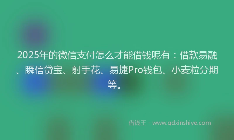 2025年的微信支付怎么才能借钱呢有：借款易融、瞬信贷宝、射手花、易捷Pro钱包、小麦粒分期等。