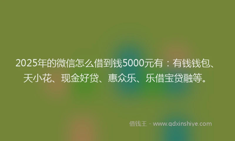 2025年的微信怎么借到钱5000元有：有钱钱包、天小花、现金好贷、惠众乐、乐借宝贷融等。