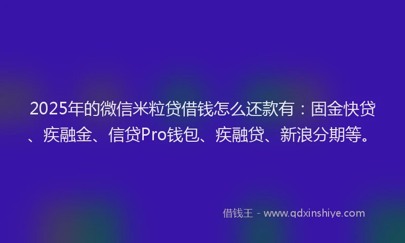 2025年的微信米粒贷借钱怎么还款有：固金快贷、疾融金、信贷Pro钱包、疾融贷、新浪分期等。