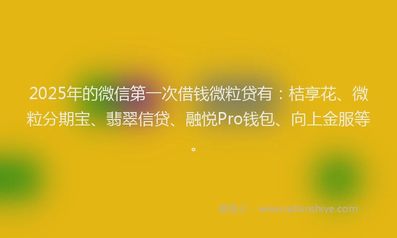 2025年的微信第一次借钱微粒贷有：桔享花、微粒分期宝、翡翠信贷、融悦Pro钱包、向上金服等。