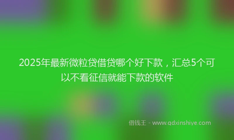 2025年最新微粒贷借贷哪个好下款，汇总5个可以不看征信就能下款的软件