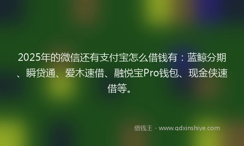 2025年的微信还有支付宝怎么借钱有：蓝鲸分期、瞬贷通、爱木速借、融悦宝Pro钱包、现金侠速借等。