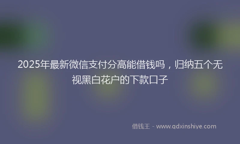 2025年最新微信支付分高能借钱吗，归纳五个无视黑白花户的下款口子