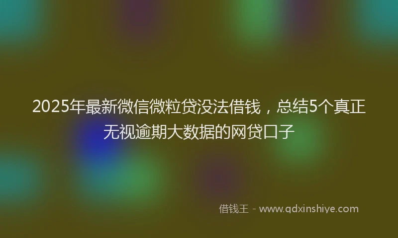 2025年最新微信微粒贷没法借钱，总结5个真正无视逾期大数据的网贷口子