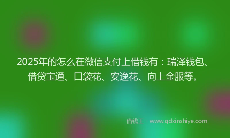 2025年的怎么在微信支付上借钱有：瑞泽钱包、借贷宝通、口袋花、安逸花、向上金服等。