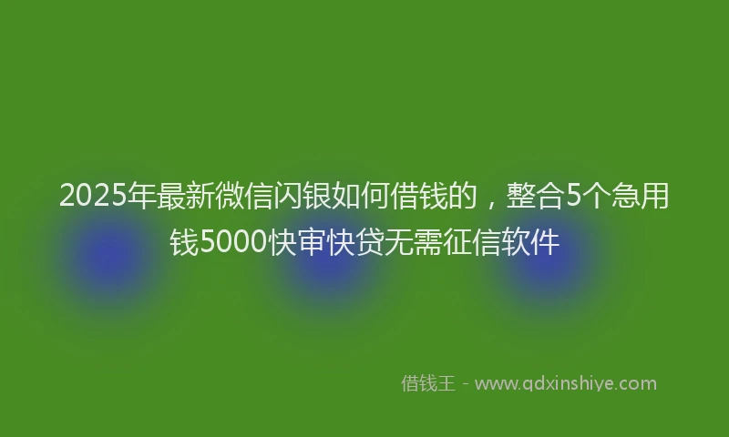 2025年最新微信闪银如何借钱的，整合5个急用钱5000快审快贷无需征信软件
