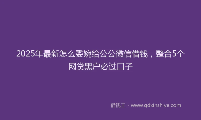 2025年最新怎么委婉给公公微信借钱，整合5个网贷黑户必过口子