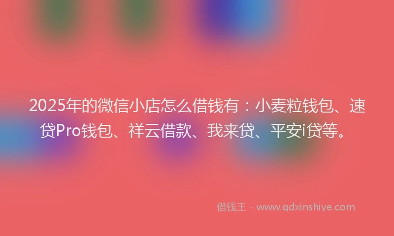 2025年的微信小店怎么借钱有：小麦粒钱包、速贷Pro钱包、祥云借款、我来贷、平安i贷等。