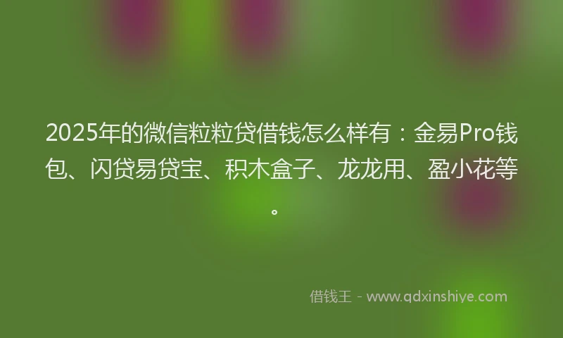 2025年的微信粒粒贷借钱怎么样有：金易Pro钱包、闪贷易贷宝、积木盒子、龙龙用、盈小花等。