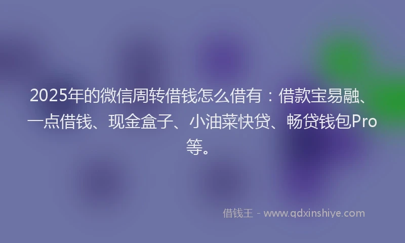 2025年的微信周转借钱怎么借有：借款宝易融、一点借钱、现金盒子、小油菜快贷、畅贷钱包Pro等。