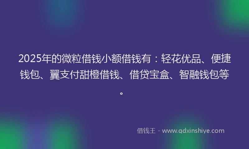 2025年的微粒借钱小额借钱有：轻花优品、便捷钱包、翼支付甜橙借钱、借贷宝盒、智融钱包等。