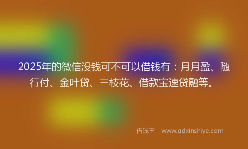 2025年的微信没钱可不可以借钱有：月月盈、随行付、金叶贷、三枝花、借款宝速贷融等。