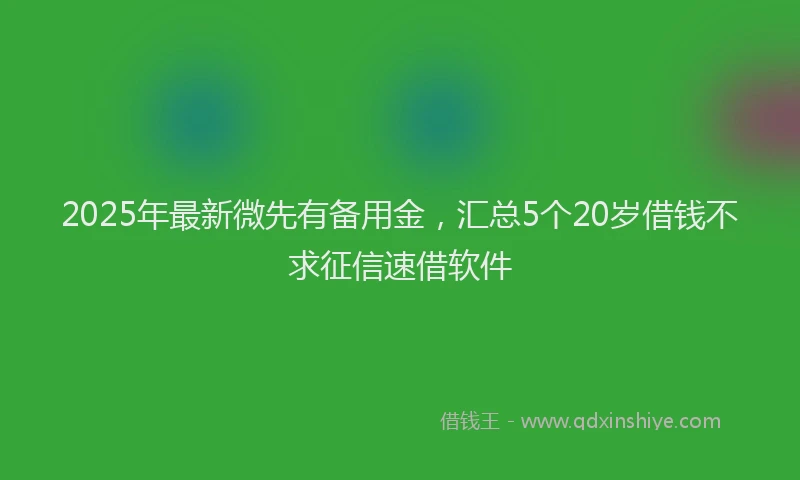 2025年最新微先有备用金，汇总5个20岁借钱不求征信速借软件