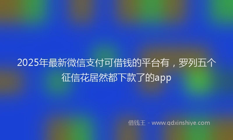 2025年最新微信支付可借钱的平台有，罗列五个征信花居然都下款了的app