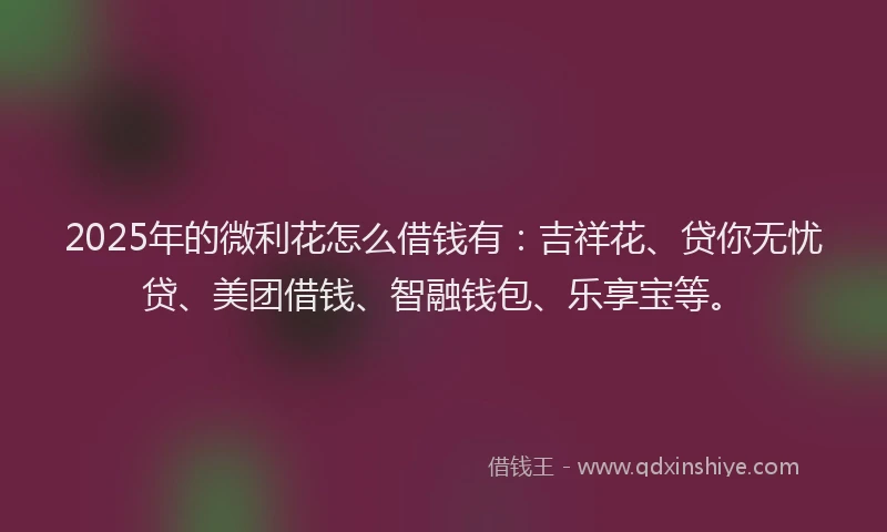 2025年的微利花怎么借钱有：吉祥花、贷你无忧贷、美团借钱、智融钱包、乐享宝等。
