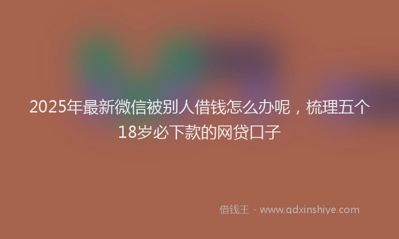 2025年最新微信被别人借钱怎么办呢，梳理五个18岁必下款的网贷口子